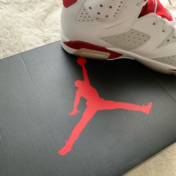 Authentic Jordan 6 Alternatives size 11 - Picture 7 of 8